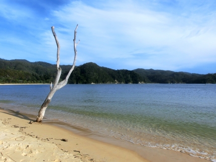 abeltasman (36)